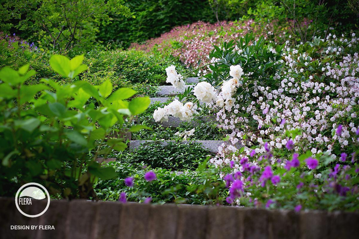 Rozkvitnutá záhrada s bohatou zeleňou a krásnymi kvetmi